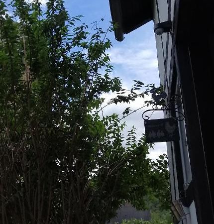 Huehnerstaellchen Dumpelfeld Bagian luar foto